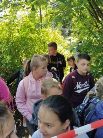 tn_img_20190906_093939