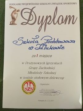 tn_dyplom