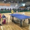 tn_img_2682