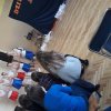8marca2017