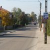 Bieg_Niepodległości