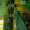 SP_tenis