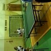 SP_tenis