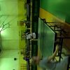 SP_tenis