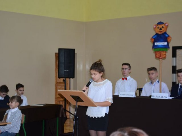 Sejmik_2017
