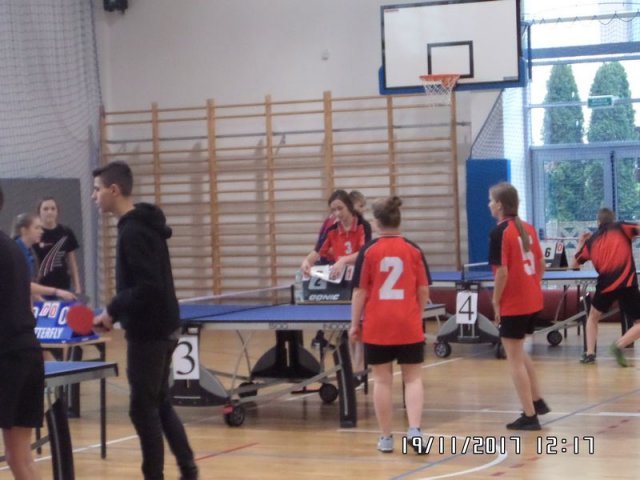 Tenis_polfinal