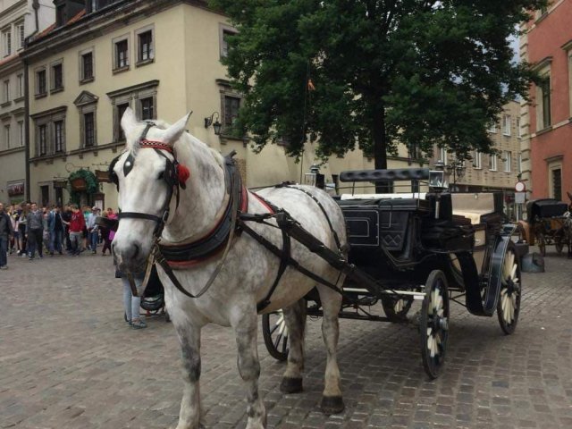 Warszawa_0619
