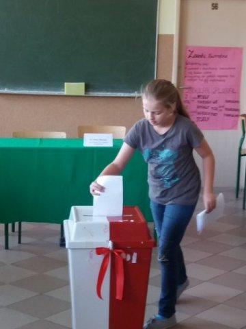 Wybory2017
