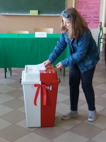 Wybory2017