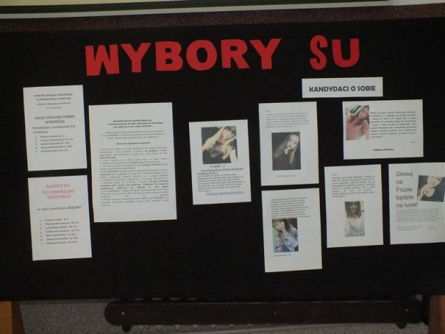 Wybory_SU