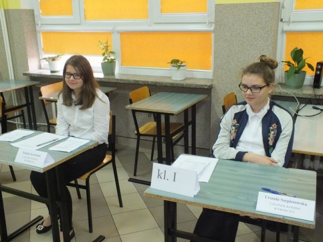 Wybory_SU