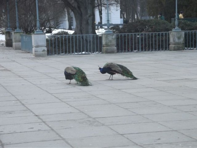 Wycieczka