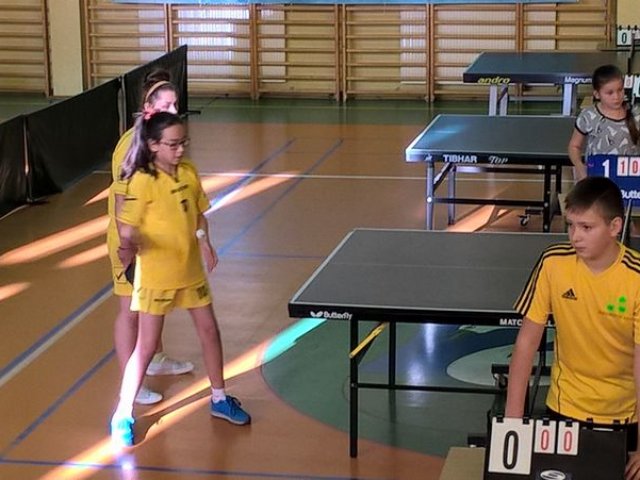 tenis_8_11