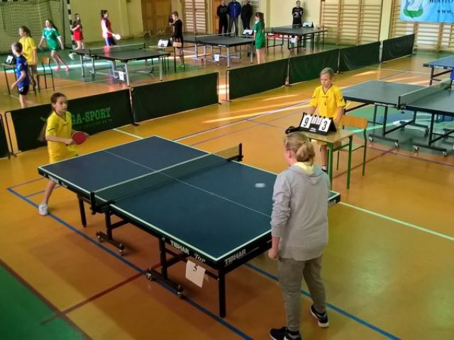 tenis_8_11