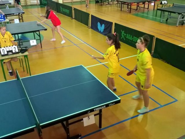 tenis_8_11