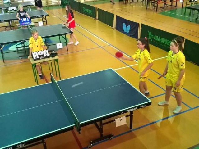 tenis_8_11