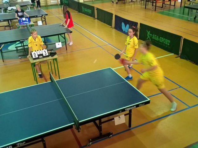 tenis_8_11