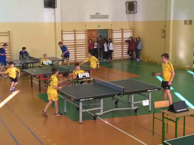 tenis_8_11
