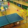 tenis_8_11