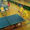 tenis_8_11
