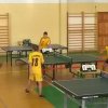 tenis_8_11